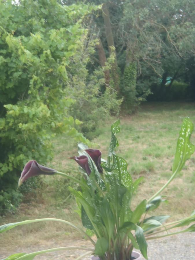 Holiday home Chez Claudine *