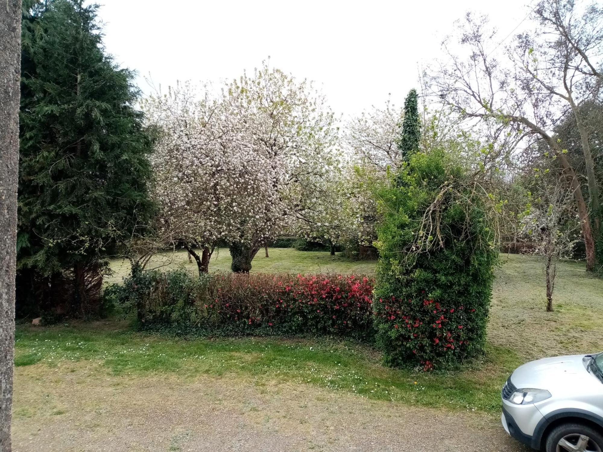 Chez Claudine * Peaule